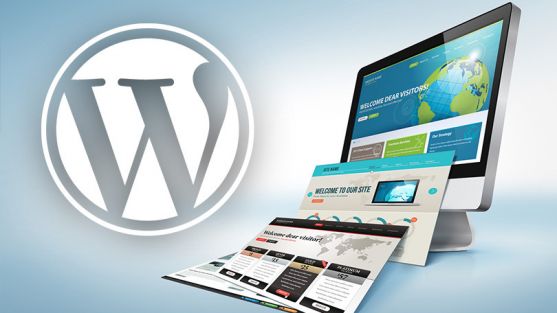 SEOday. SEO amb WordPress de 0 a 100
